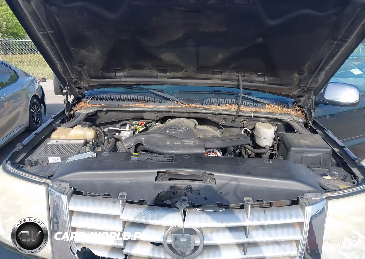 2004 Cadillac Escalade Esv Standard VIN:3GYFK66N64G252261 - 10