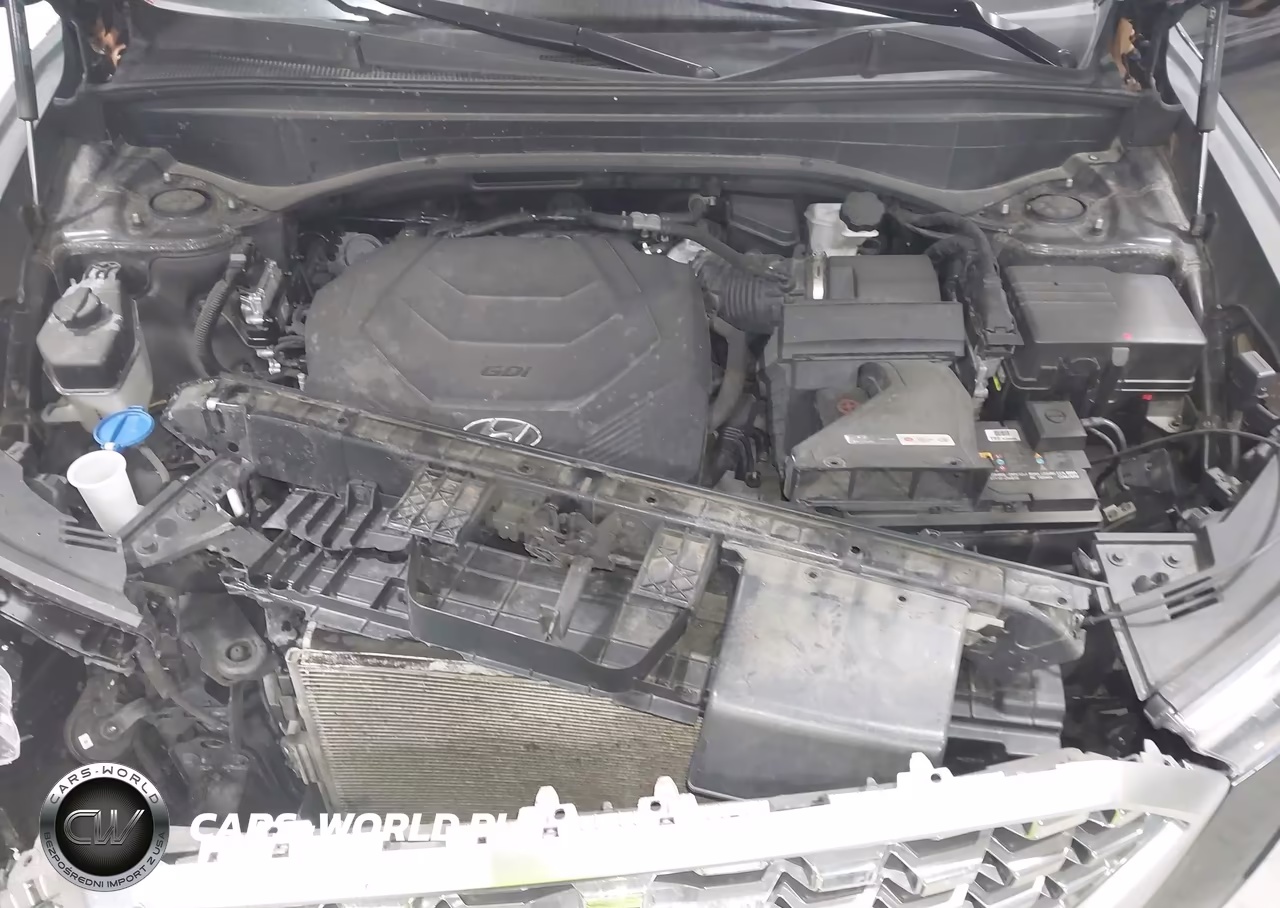 2020 Hyundai Palisade Sel VIN:KM8R4DHE2LU120796 - 10