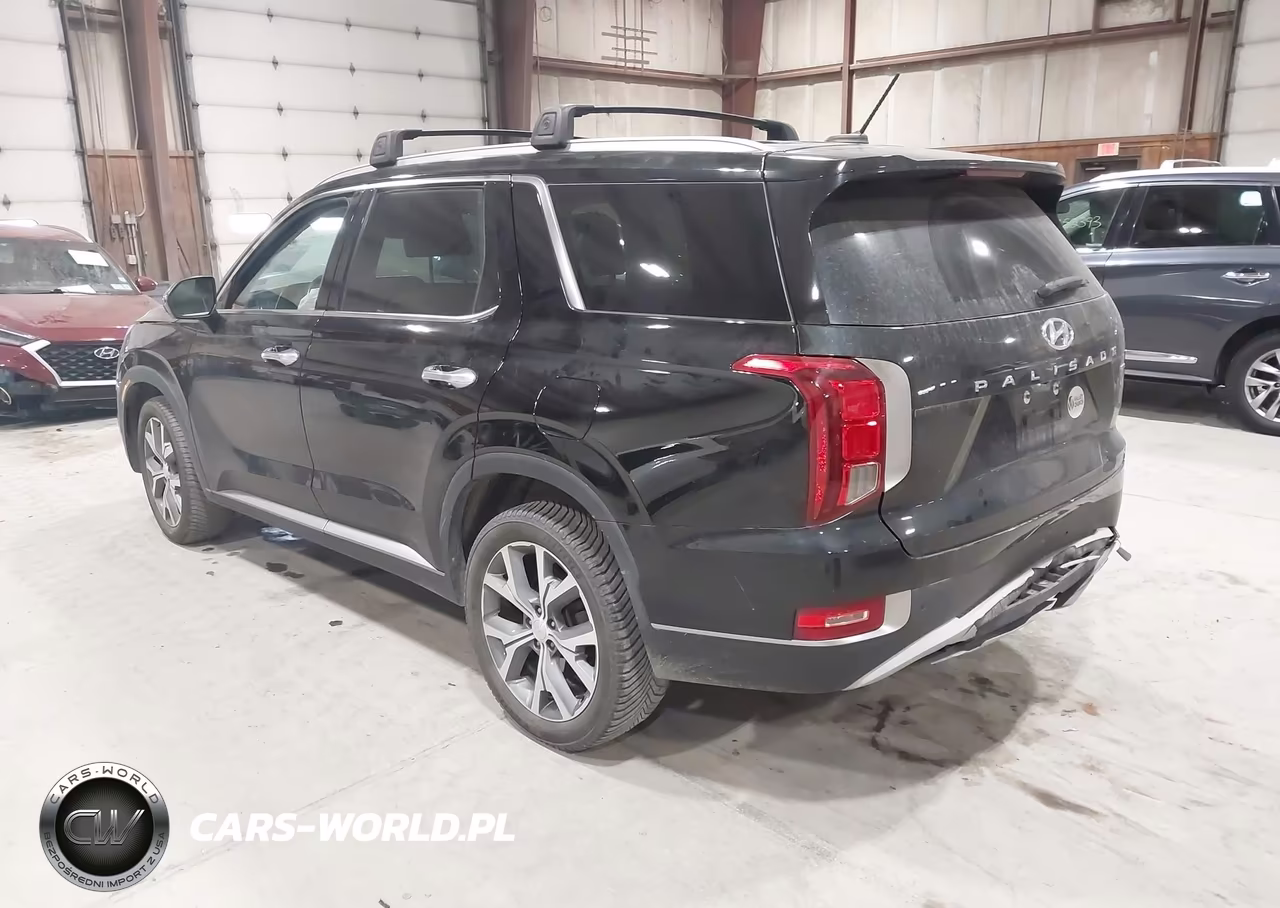 2020 Hyundai Palisade Sel VIN:KM8R4DHE2LU120796 - 3