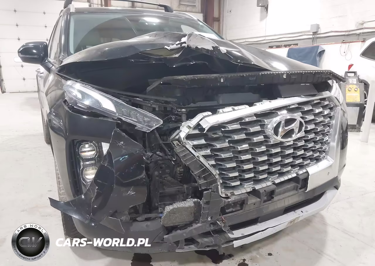 2020 Hyundai Palisade Sel VIN:KM8R4DHE2LU120796 - 6