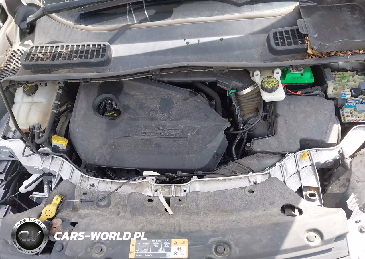 2014 Ford Escape Se VIN:1FMCU0GX7EUD02935 - 10