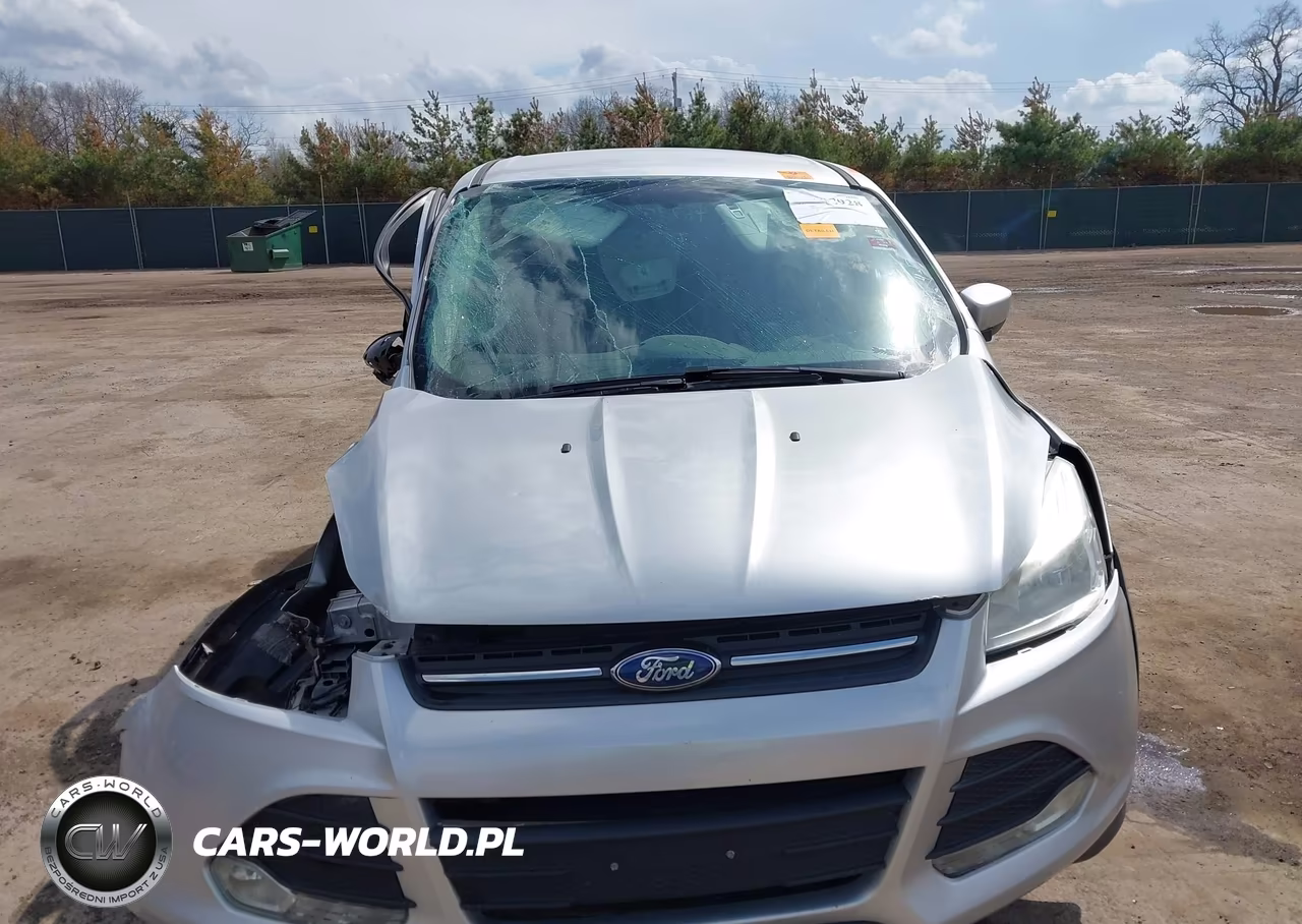 2014 Ford Escape Se VIN:1FMCU0GX7EUD02935 - 11