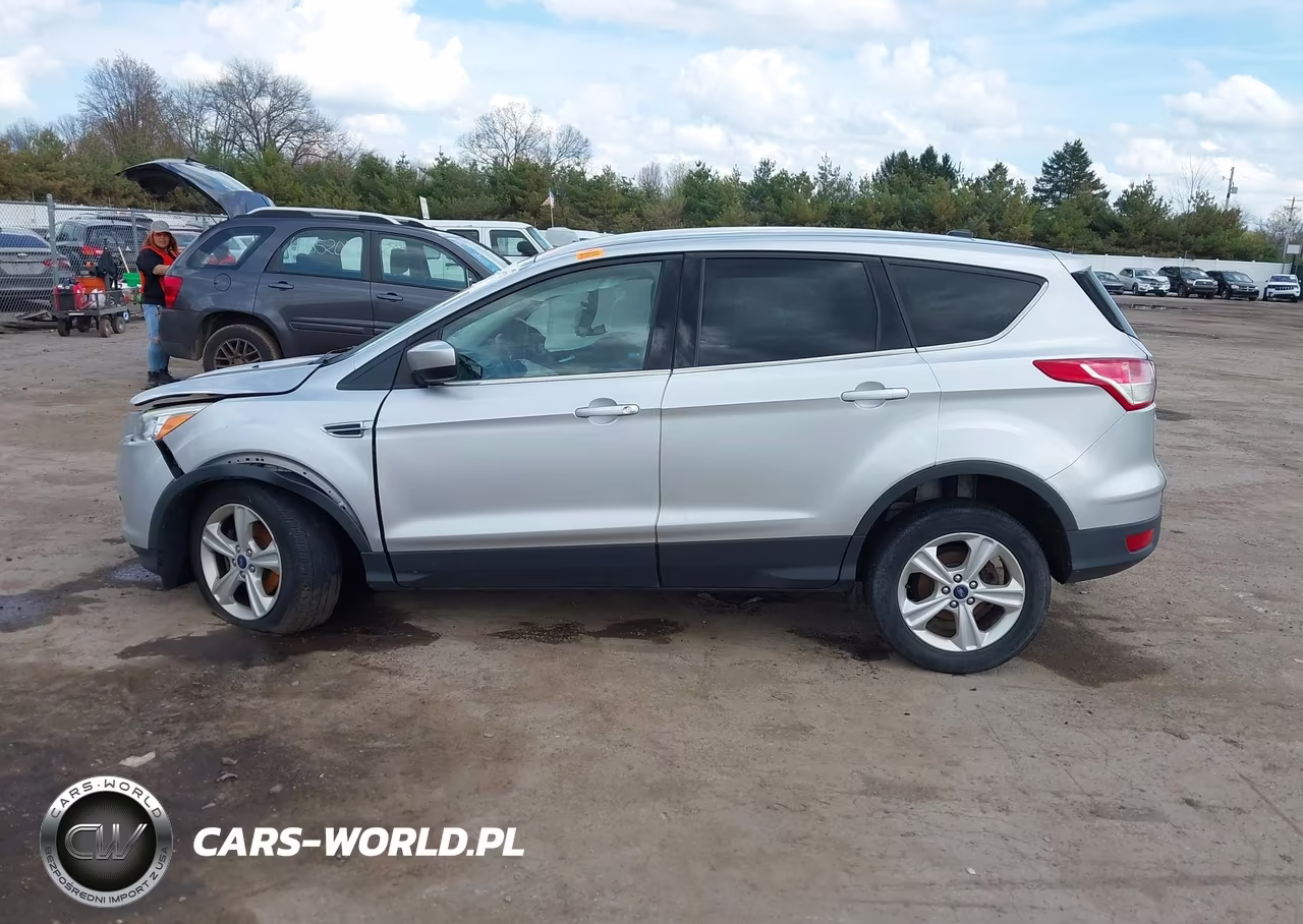 2014 Ford Escape Se VIN:1FMCU0GX7EUD02935 - 13