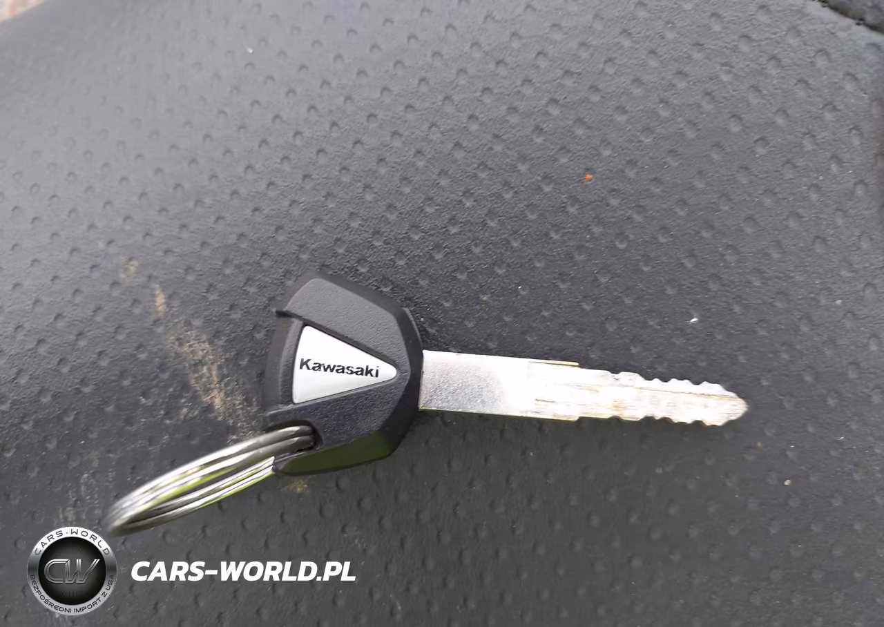2019 Kawasaki En650 D VIN:JKAENED1XKDA17193 - 11
