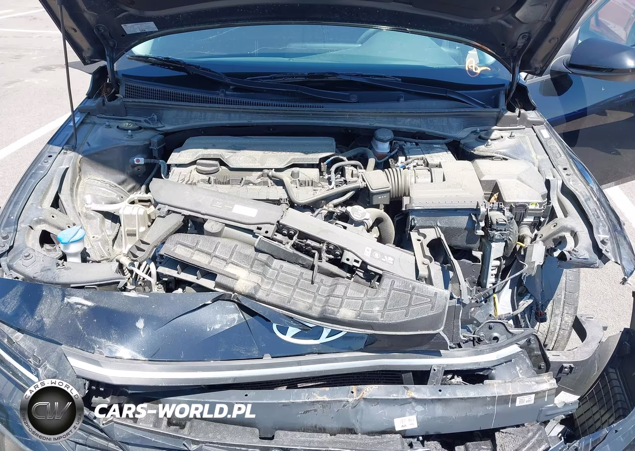 2024 Hyundai Elantra Sel VIN:KMHLM4DG9RU733441 - 10