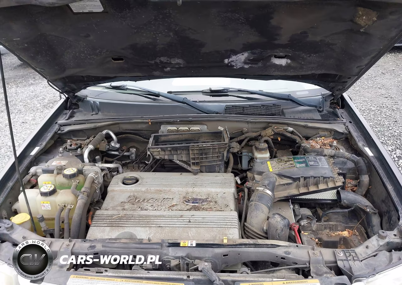 2008 Ford Escape Hybrid VIN:1FMCU49H88KA56667 - 10