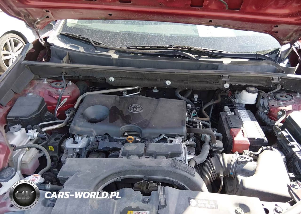 2019 Toyota Rav4 Limited VIN:2T3Y1RFV4KW034142 - 10