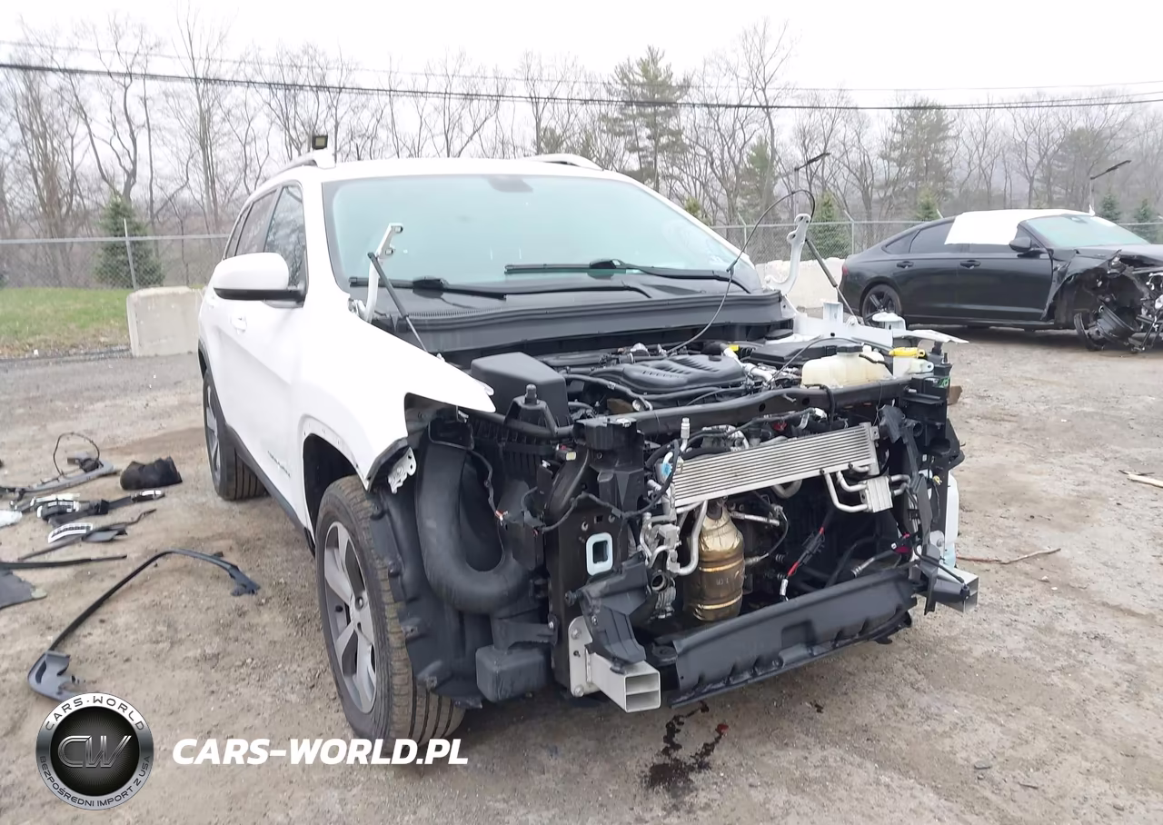 2019 Jeep Cherokee Limited 4X4 VIN:1C4PJMDX5KD436073 - 18