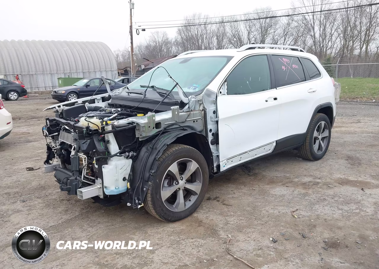 2019 Jeep Cherokee Limited 4X4 VIN:1C4PJMDX5KD436073 - 2