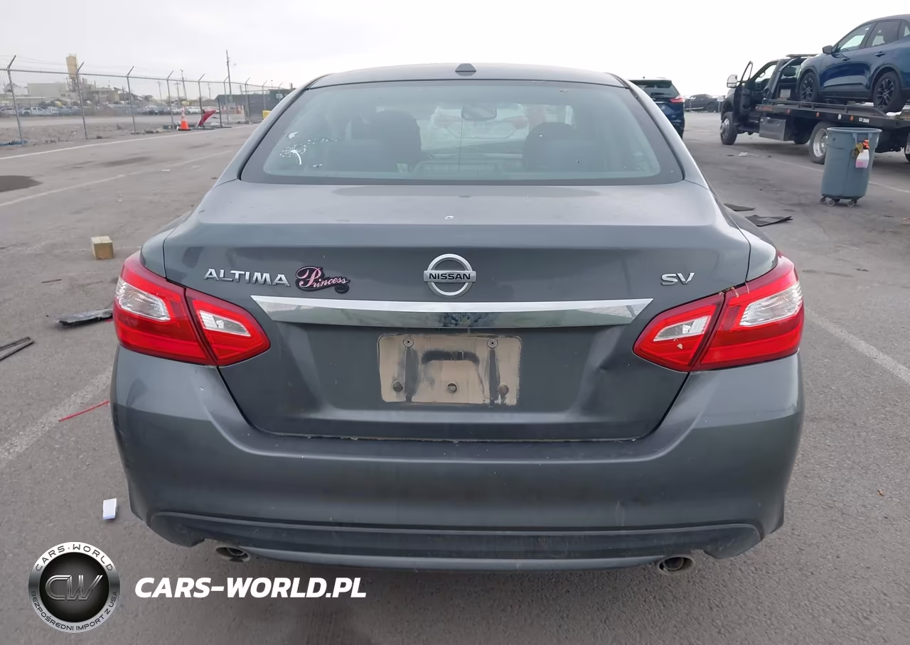2017 Nissan Altima 2.5 Sv VIN:1N4AL3AP4HC297606 - 17