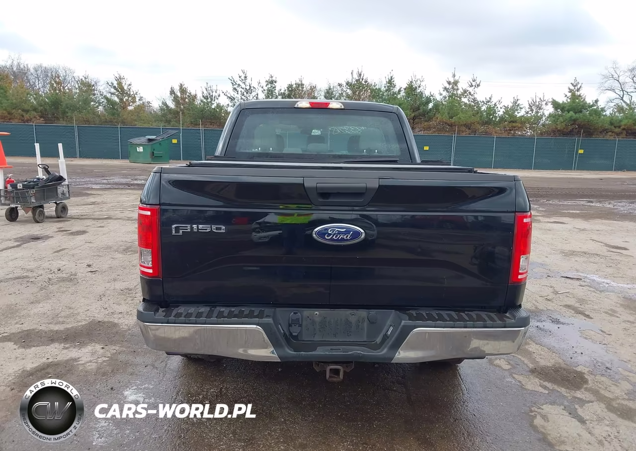 2016 Ford F-150 Xl VIN:1FTEX1C88GFD18643 - 16