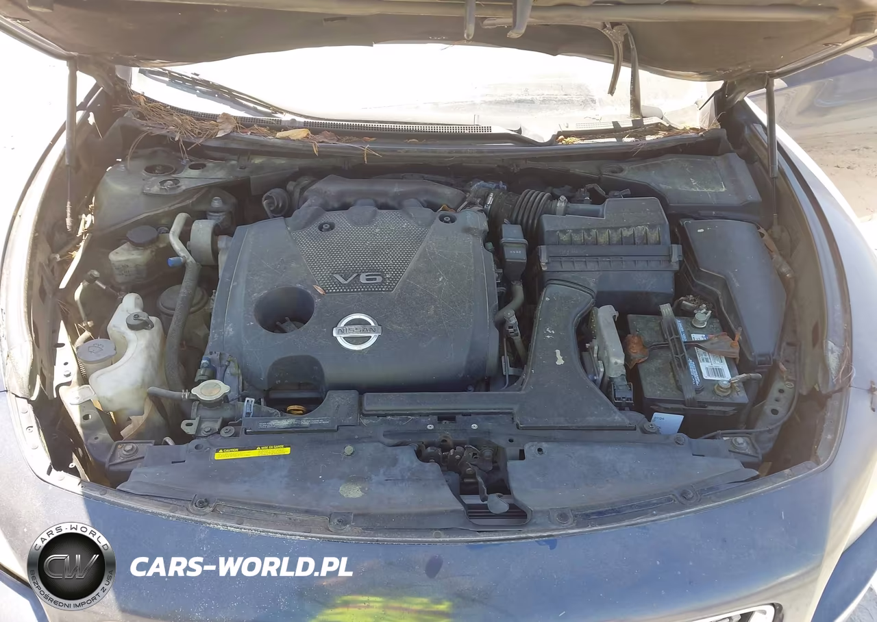 2013 Nissan Maxima 3.5 S VIN:1N4AA5AP8DC816300 - 10