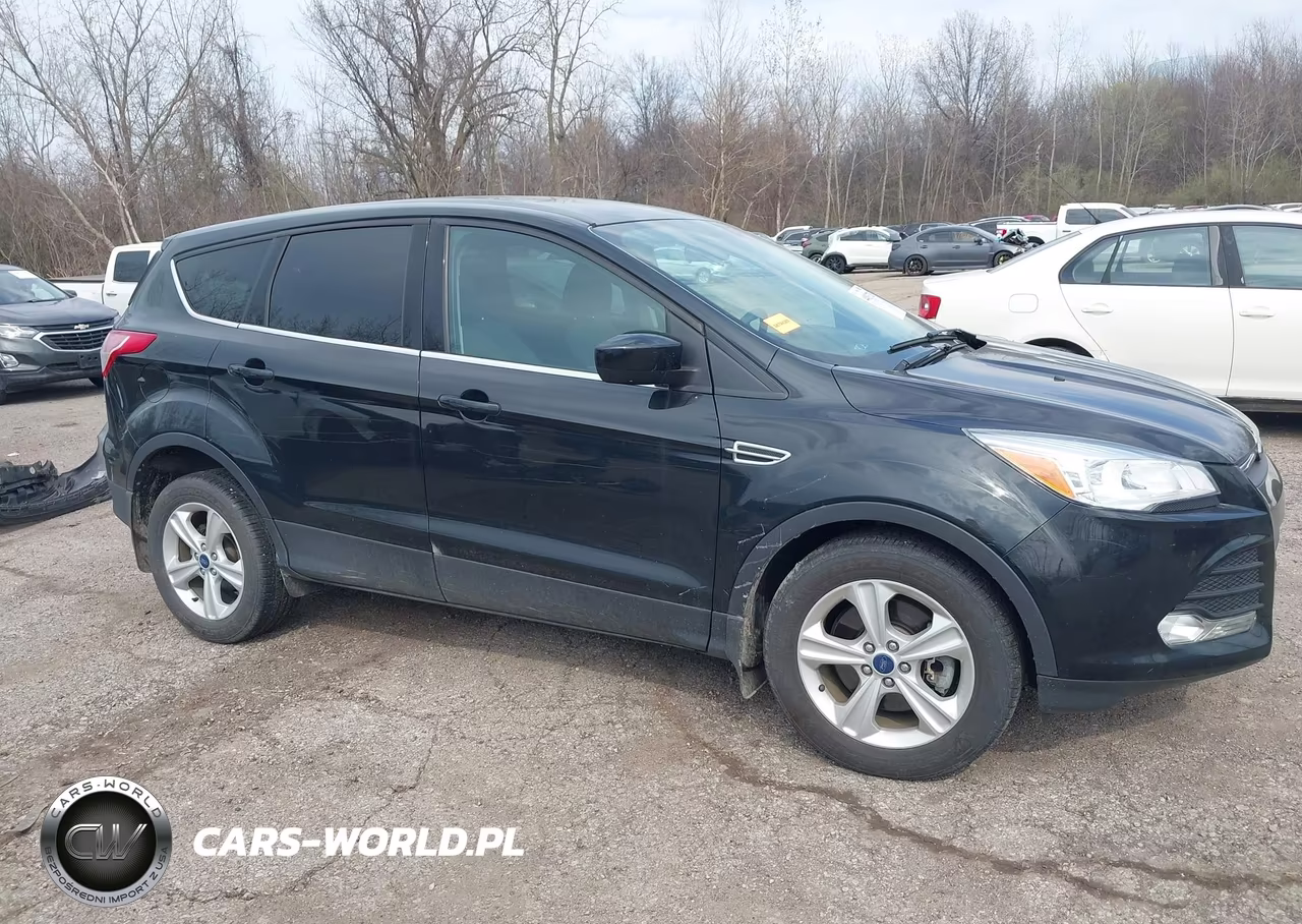 2014 Ford Escape Se VIN:1FMCU9GX6EUA28258 - 13