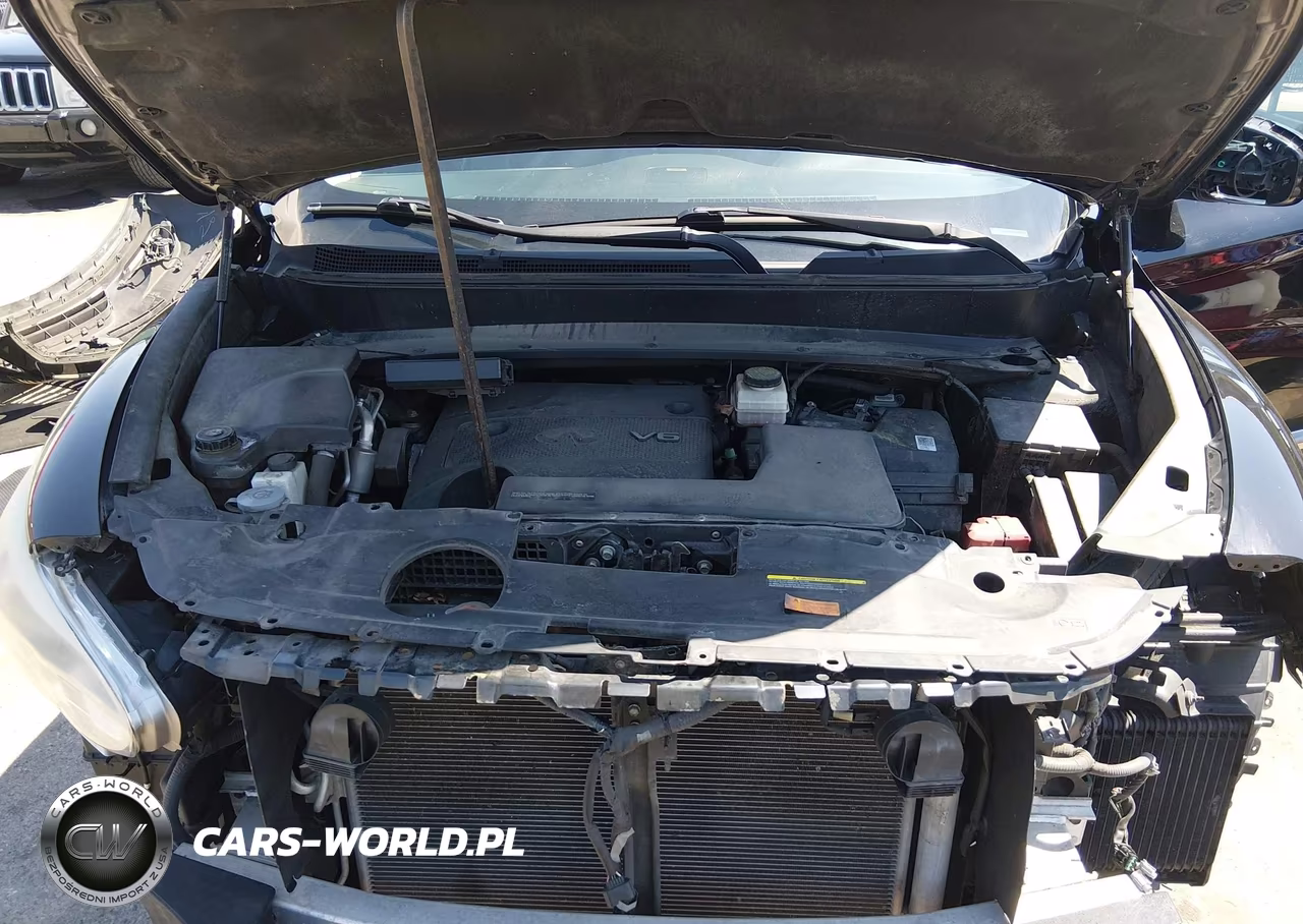 2015 Infiniti Qx60 VIN:5N1AL0MM4FC528846 - 10