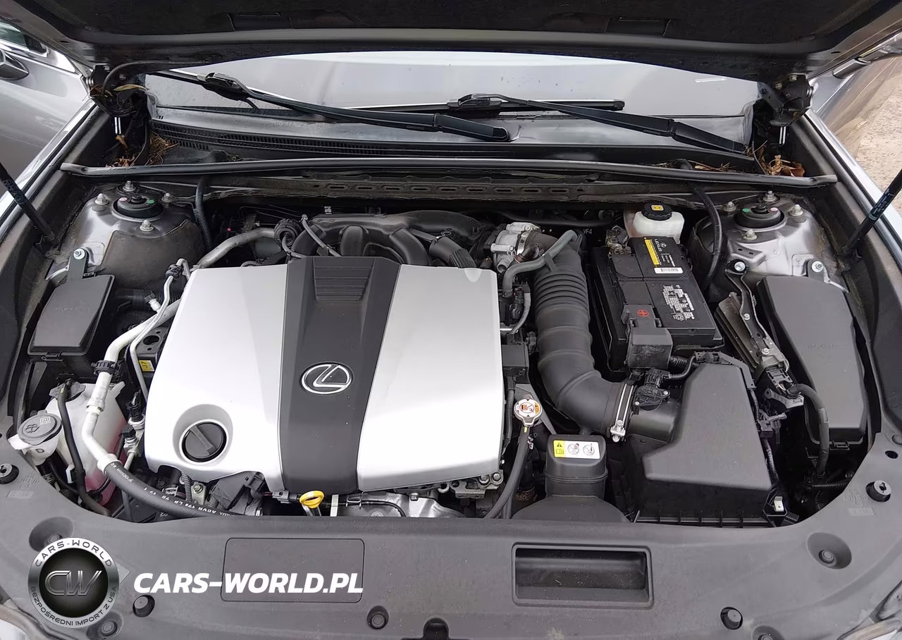 2019 Lexus Es 350 F Sport-Luxury-Ultra Luxury VIN:JTHBZ1B15K2001967 - 10