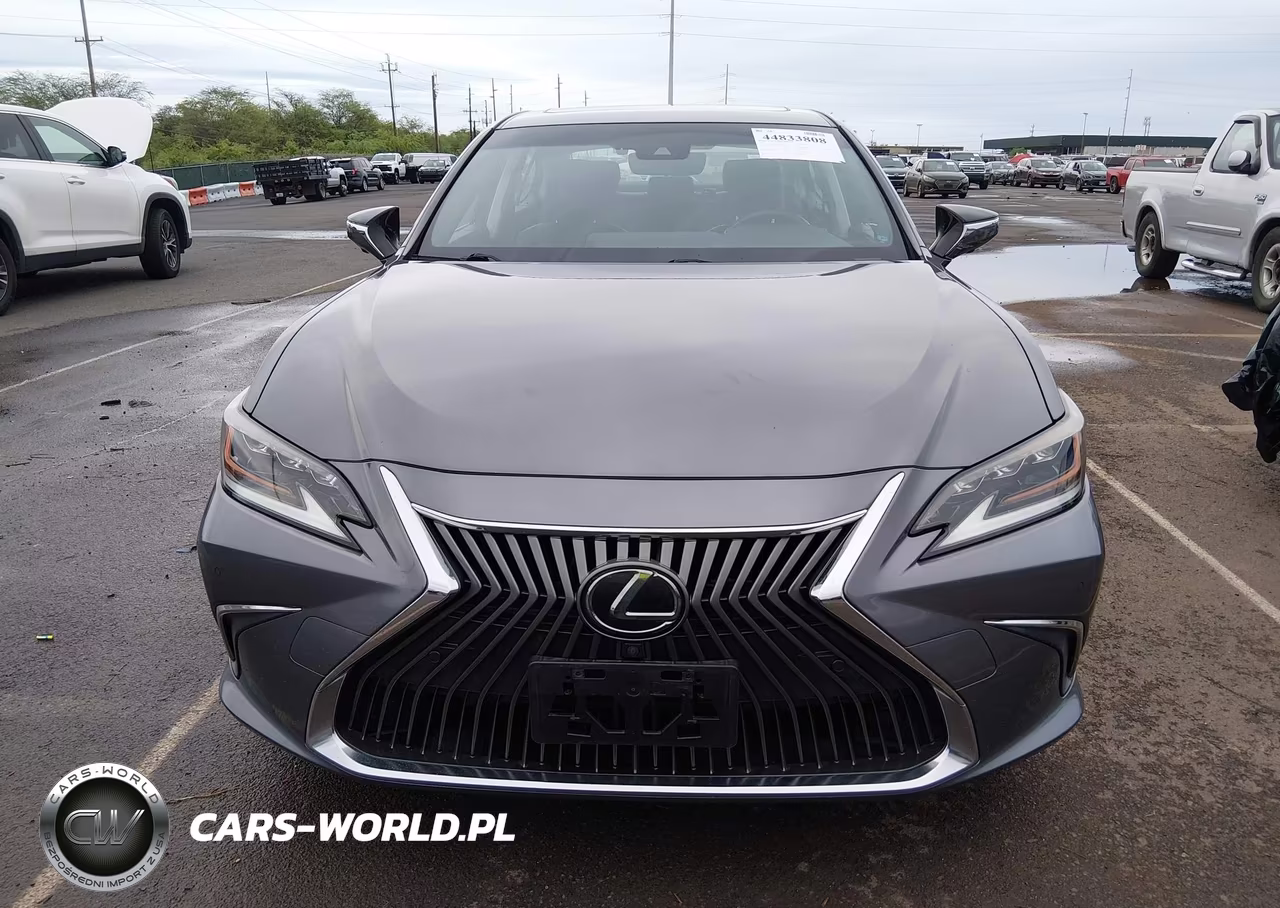 2019 Lexus Es 350 F Sport-Luxury-Ultra Luxury VIN:JTHBZ1B15K2001967 - 12