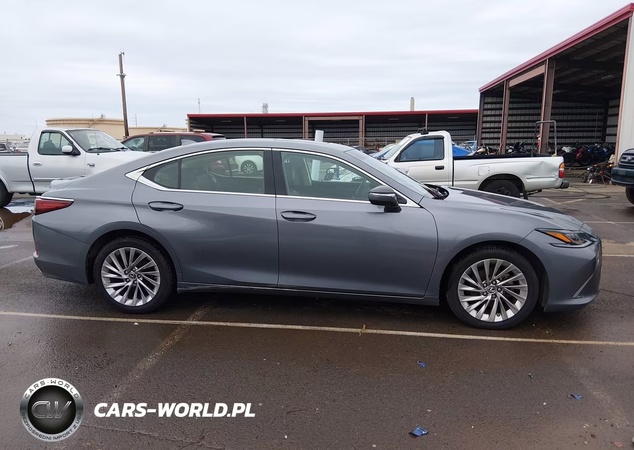 2019 Lexus Es 350 F Sport-Luxury-Ultra Luxury VIN:JTHBZ1B15K2001967 - 13