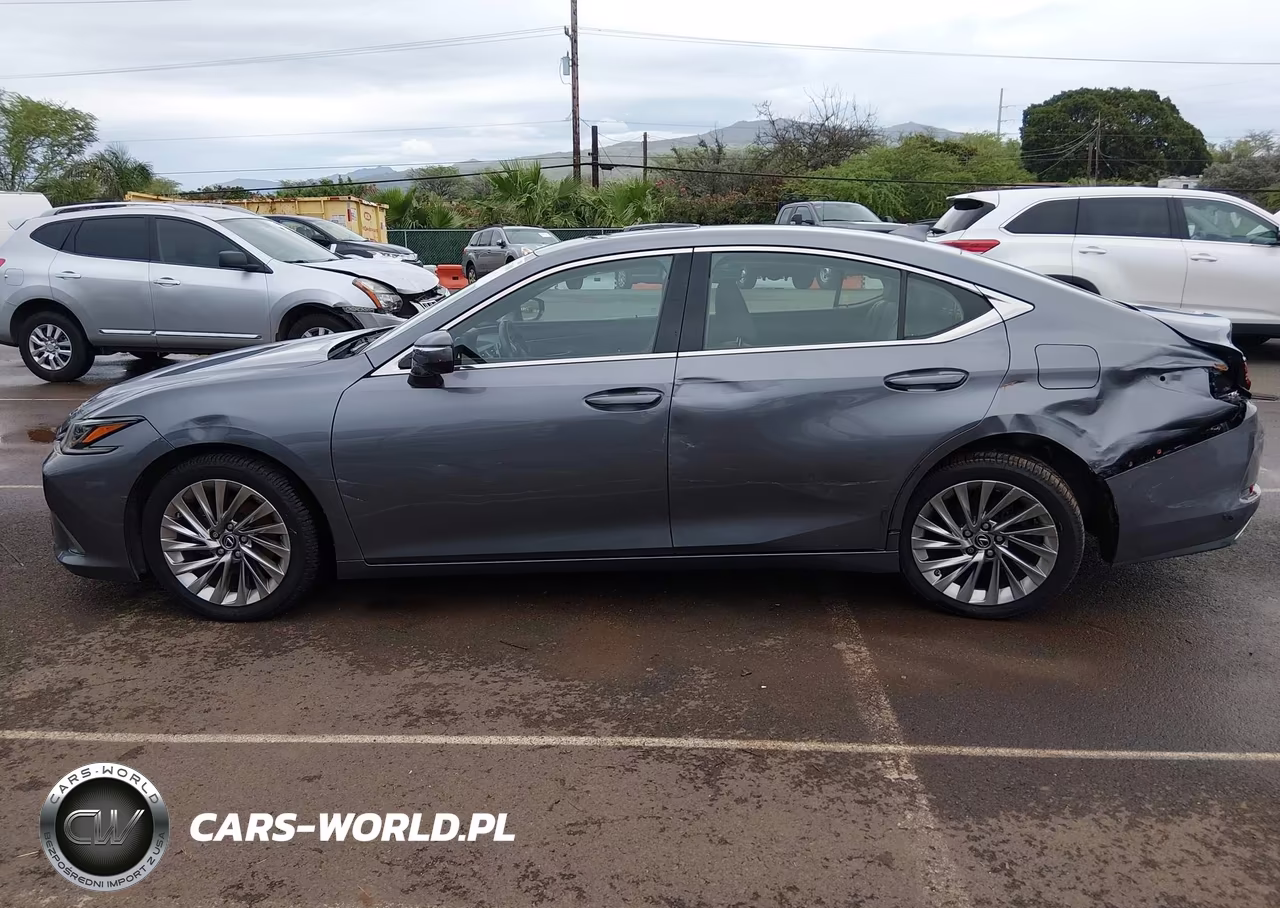 2019 Lexus Es 350 F Sport-Luxury-Ultra Luxury VIN:JTHBZ1B15K2001967 - 14
