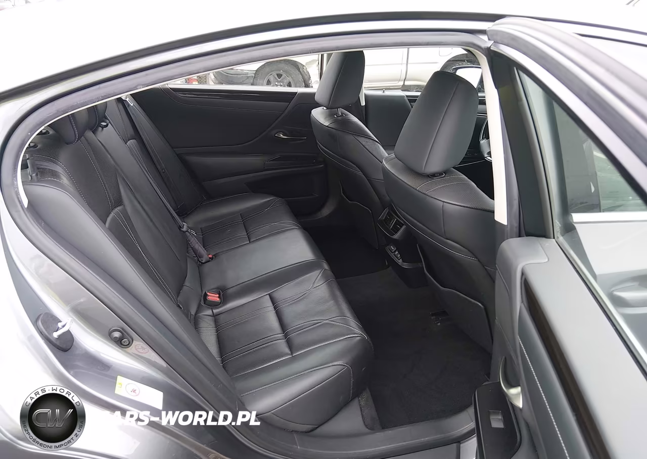 2019 Lexus Es 350 F Sport-Luxury-Ultra Luxury VIN:JTHBZ1B15K2001967 - 8
