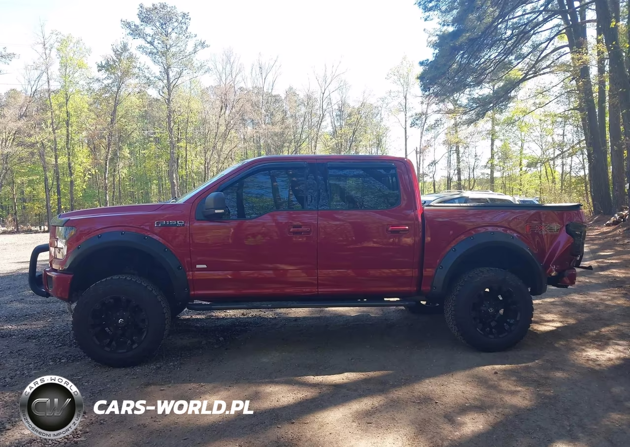 2015 Ford F-150 Xlt VIN:1FTEW1EF4FFC42089 - 14
