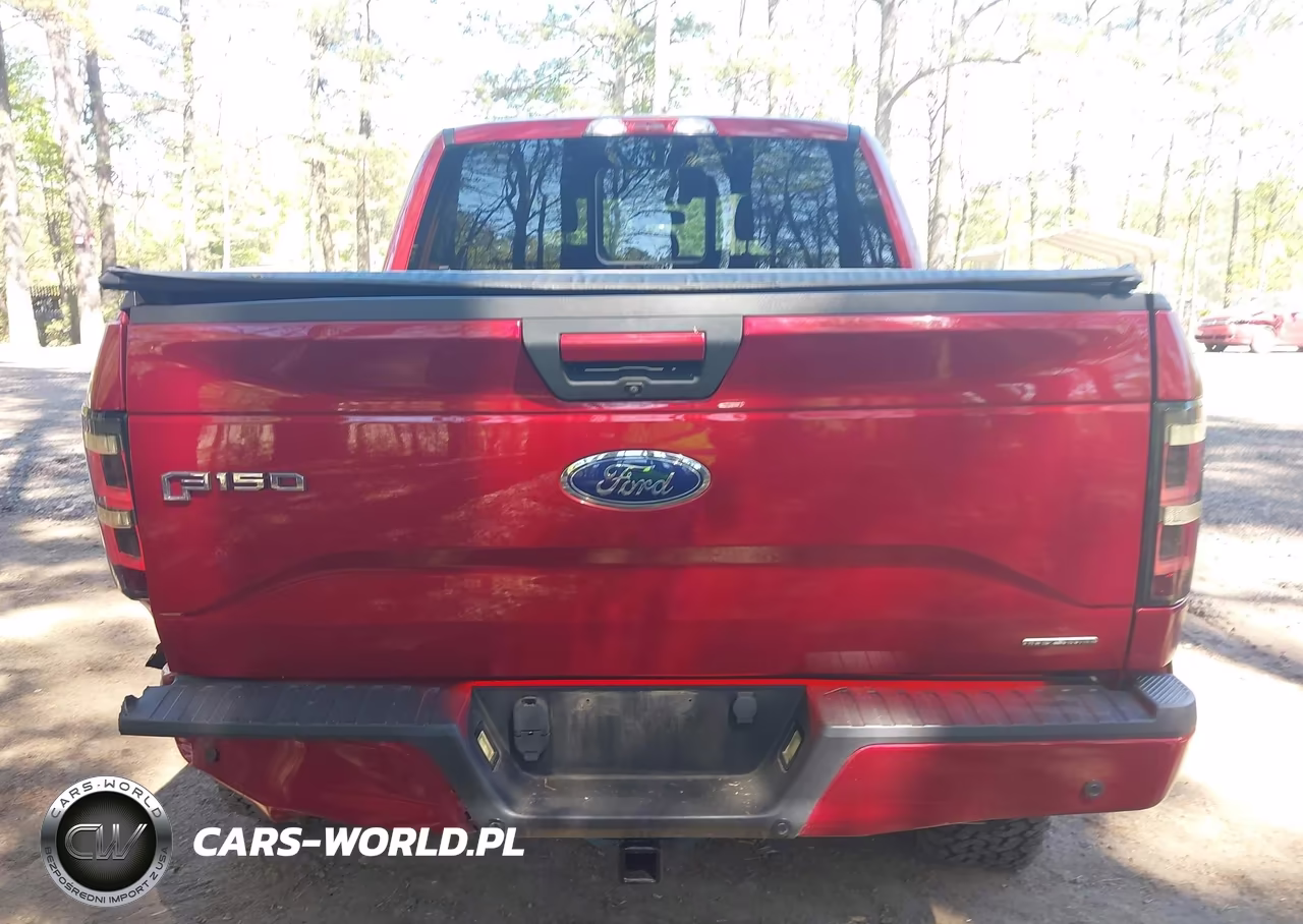 2015 Ford F-150 Xlt VIN:1FTEW1EF4FFC42089 - 16