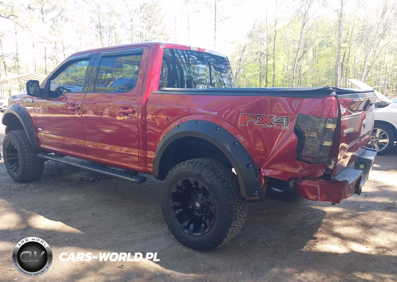 2015 Ford F-150 Xlt VIN:1FTEW1EF4FFC42089 - 3