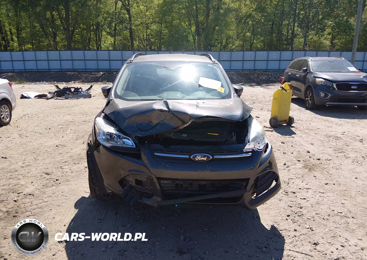 2016 Ford Escape Se VIN:1FMCU9G93GUB70409 - 12
