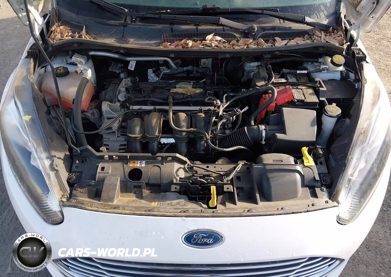 2014 Ford Fiesta S VIN:3FADP4AJ5EM225956 - 10