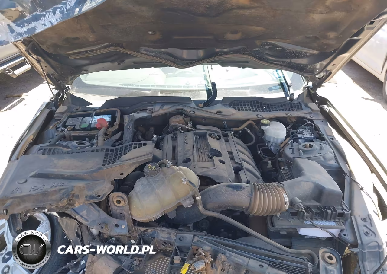 2020 Ford Mustang Ecoboost Fastback VIN:1FA6P8TH9L5103856 - 10