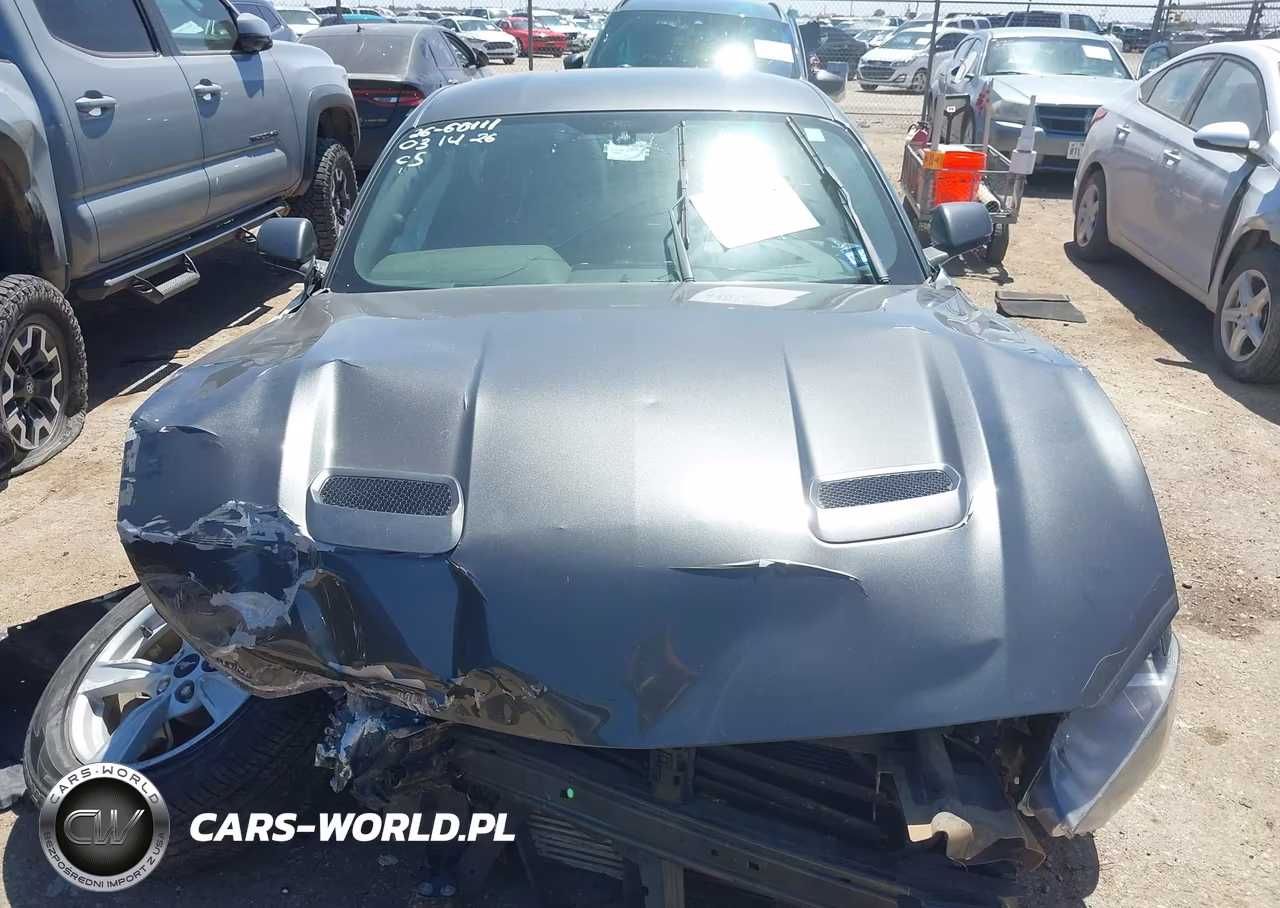 2020 Ford Mustang Ecoboost Fastback VIN:1FA6P8TH9L5103856 - 13