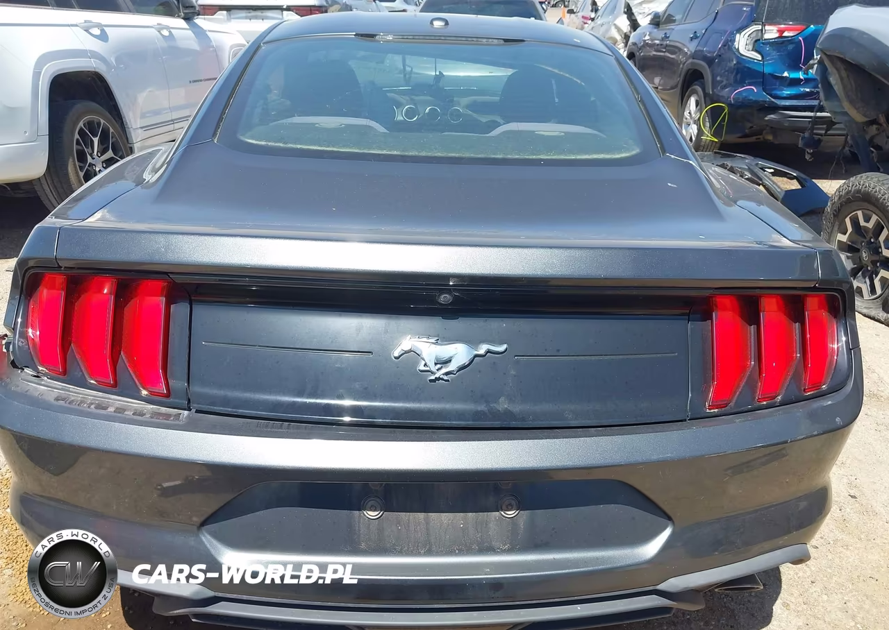 2020 Ford Mustang Ecoboost Fastback VIN:1FA6P8TH9L5103856 - 17