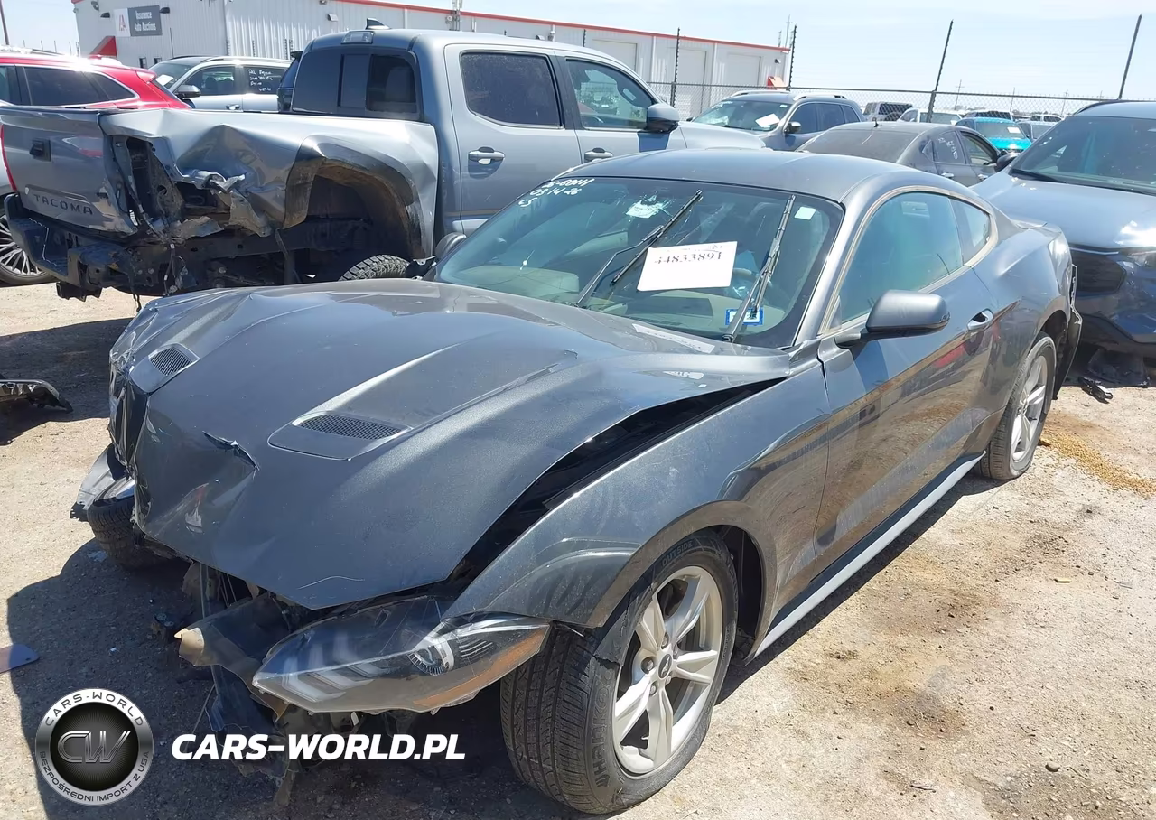 2020 Ford Mustang Ecoboost Fastback VIN:1FA6P8TH9L5103856 - 2
