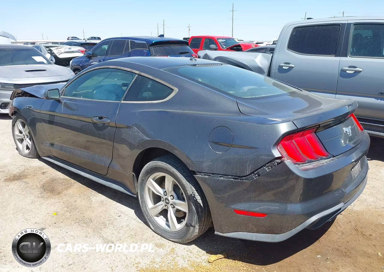 2020 Ford Mustang Ecoboost Fastback VIN:1FA6P8TH9L5103856 - 3
