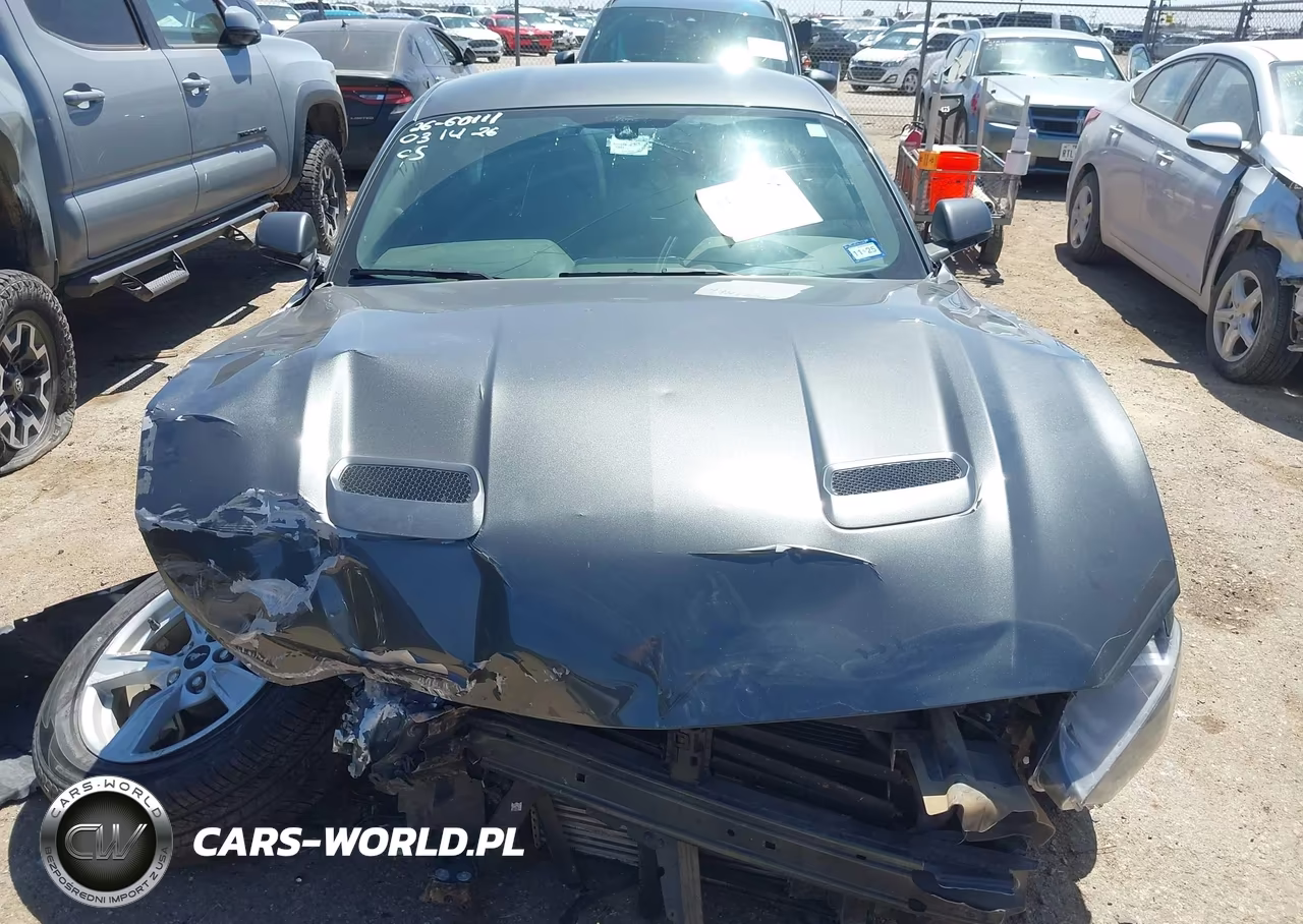 2020 Ford Mustang Ecoboost Fastback VIN:1FA6P8TH9L5103856 - 6