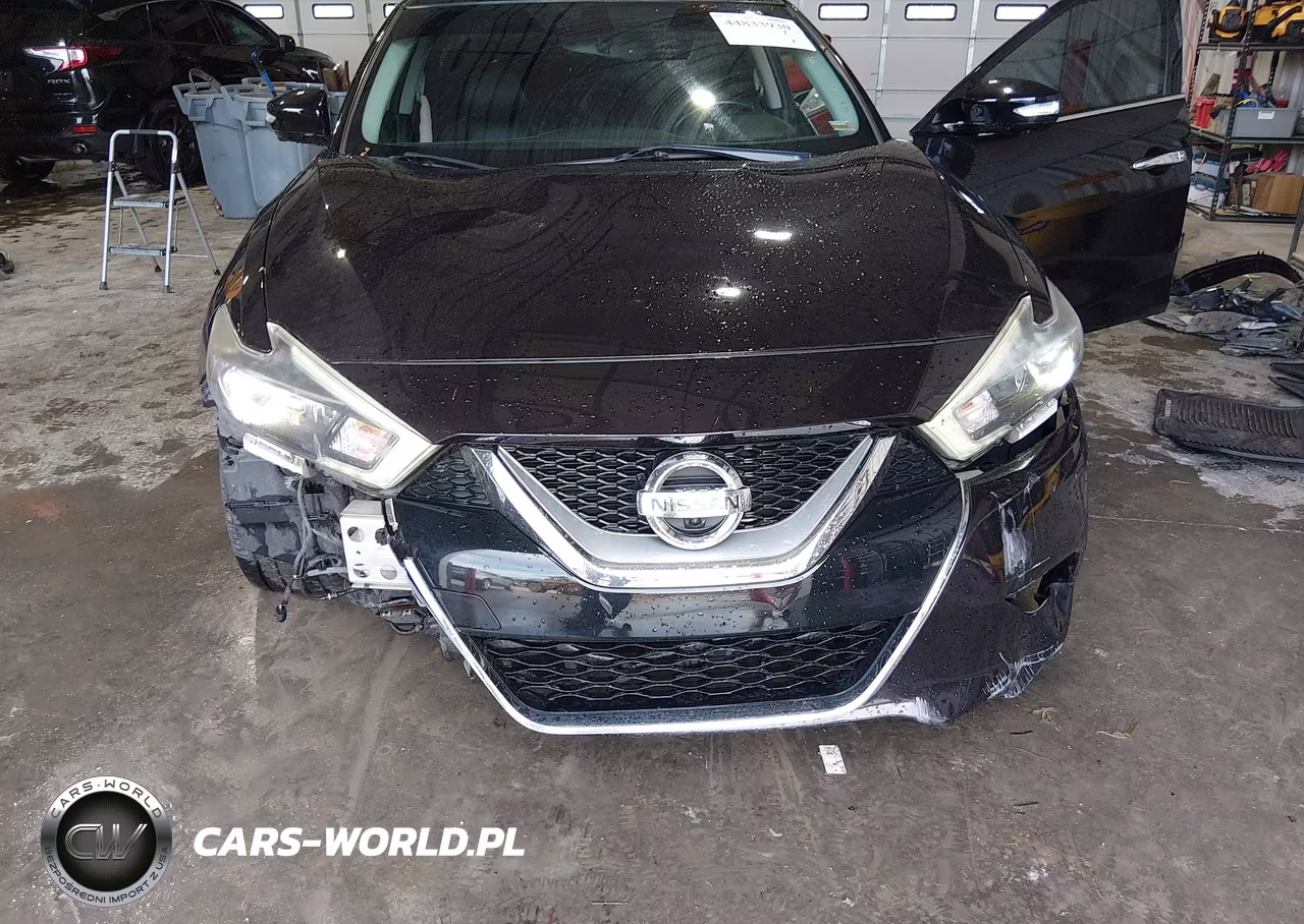 2016 Nissan Maxima 3.5 Platinum VIN:1N4AA6AP7GC394952 - 6