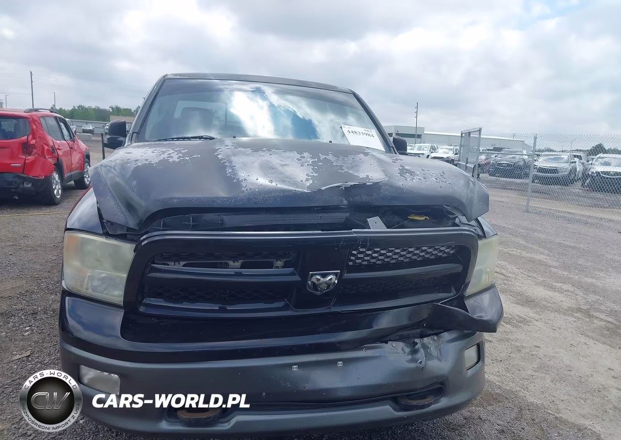 2010 Dodge Ram 1500 Slt-Sport-Trx VIN:1D7RB1GT7AS249186 - 12