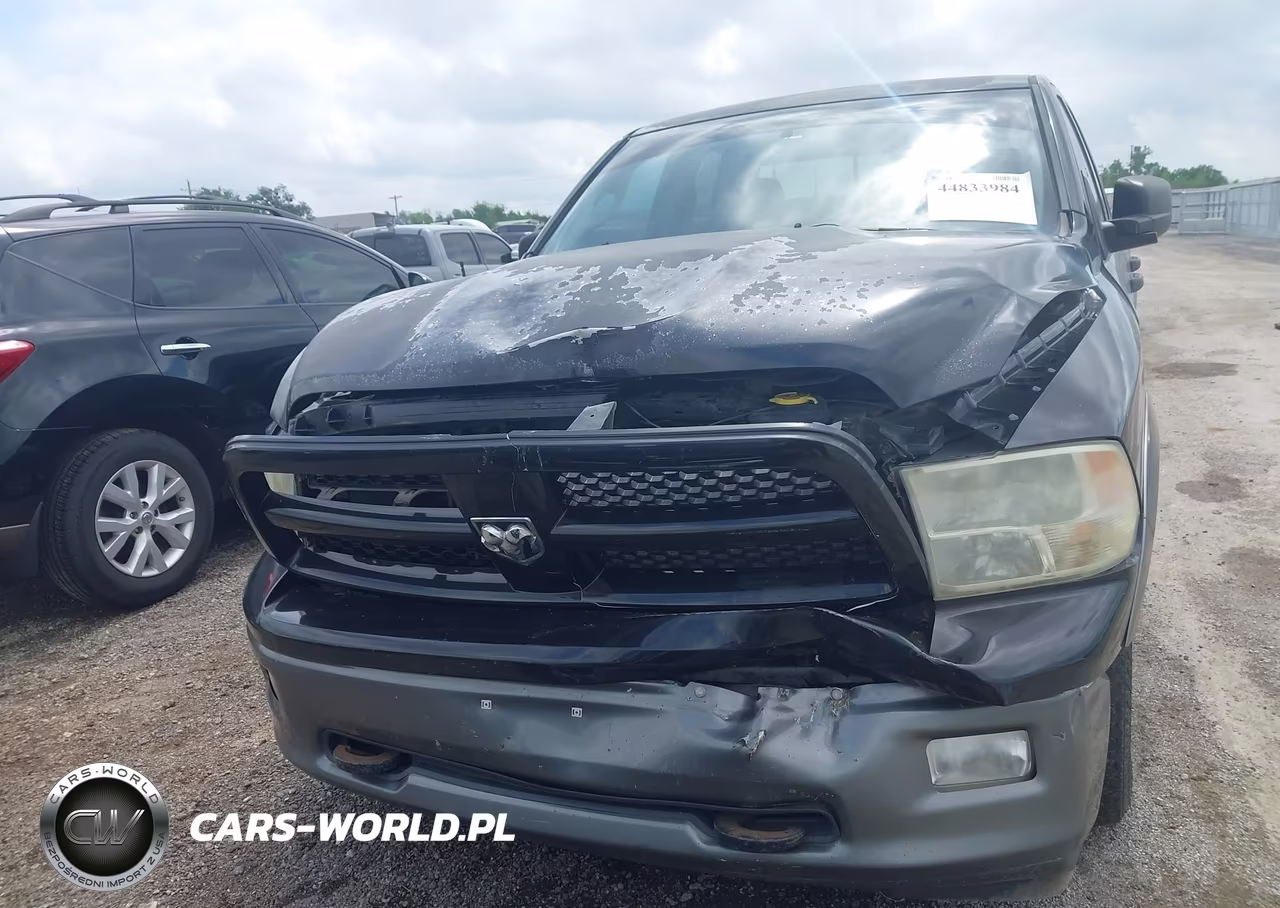 2010 Dodge Ram 1500 Slt-Sport-Trx VIN:1D7RB1GT7AS249186 - 18