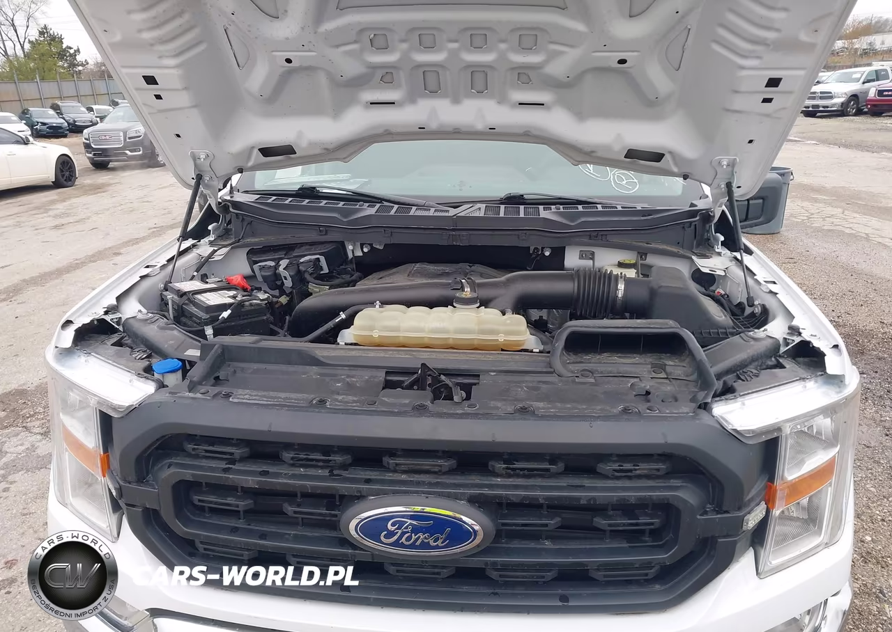 2021 Ford F-150 Xl VIN:1FTFW1E89MKD33983 - 10