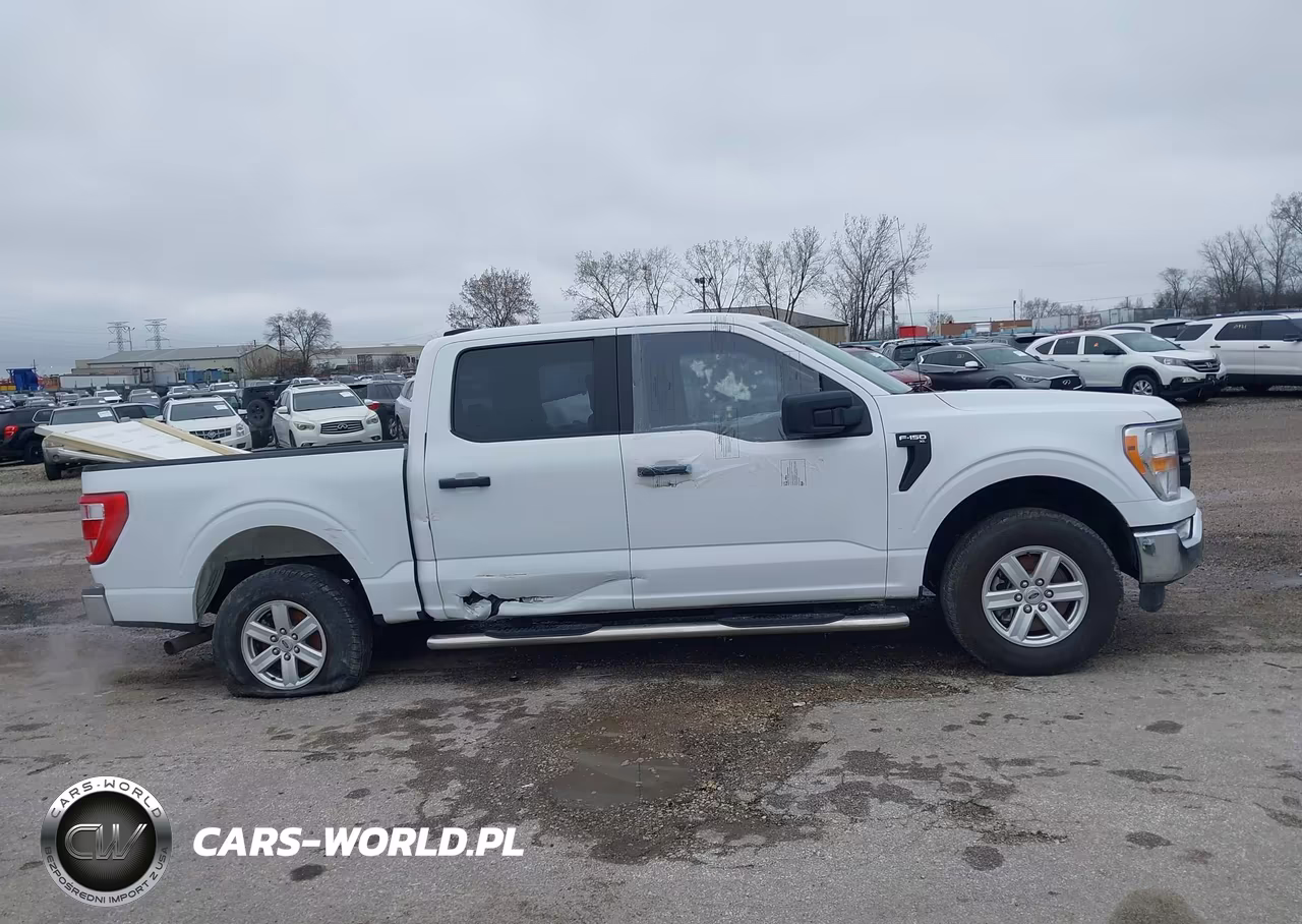 2021 Ford F-150 Xl VIN:1FTFW1E89MKD33983 - 13
