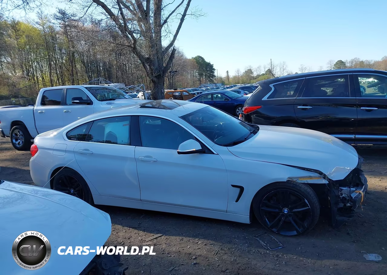 2019 BMW 430I Gran Coupe xDrive VIN:WBA4J3C57KBL11372 - 13