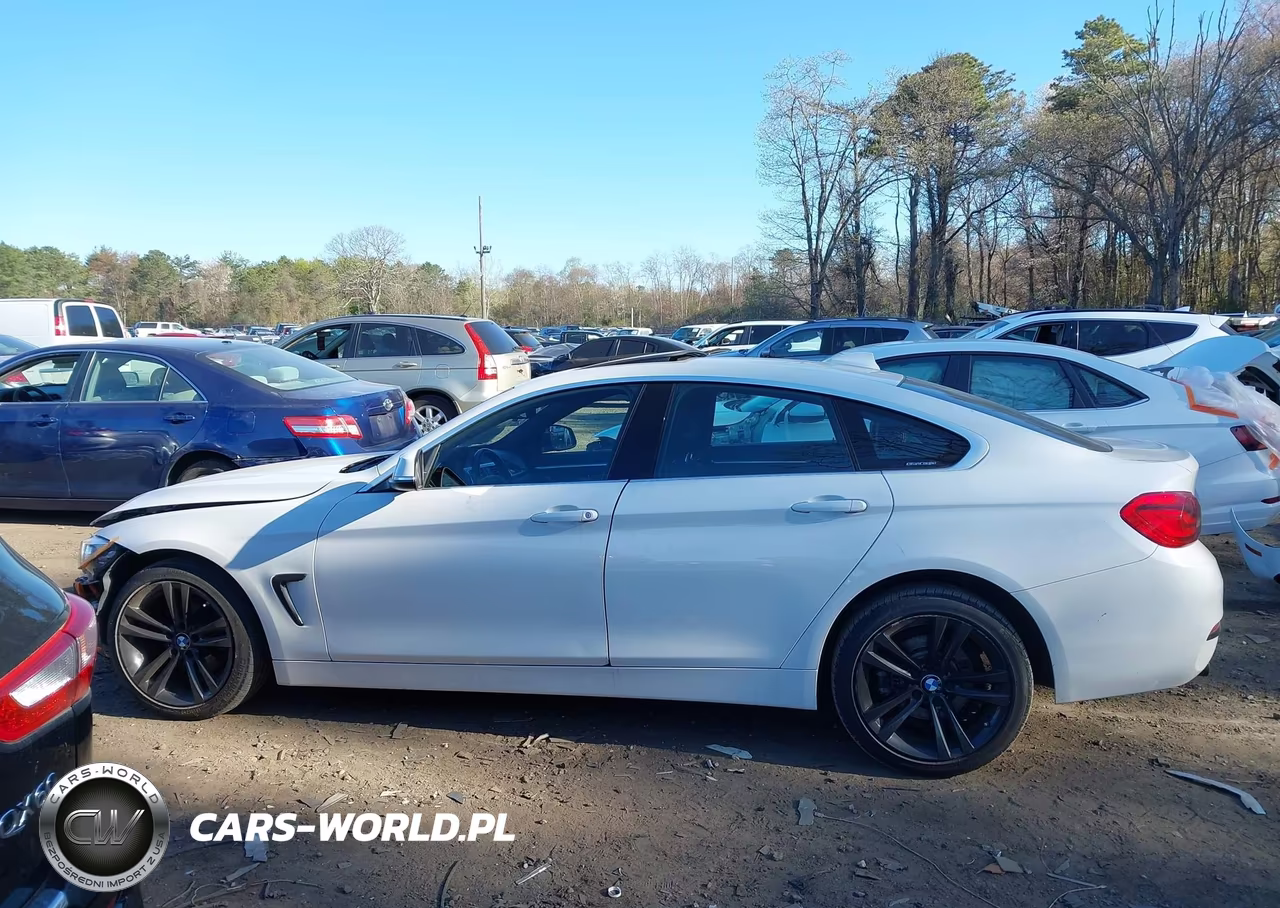 2019 BMW 430I Gran Coupe xDrive VIN:WBA4J3C57KBL11372 - 14