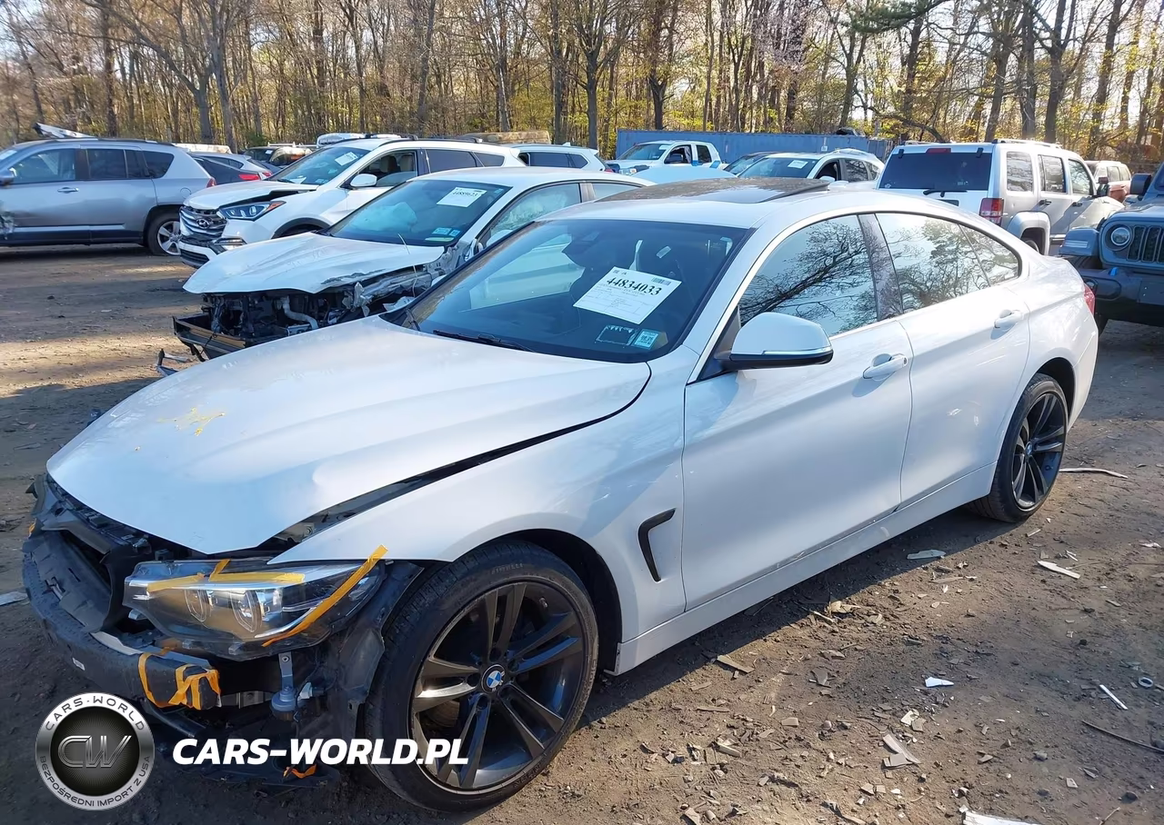 2019 BMW 430I Gran Coupe xDrive VIN:WBA4J3C57KBL11372 - 2