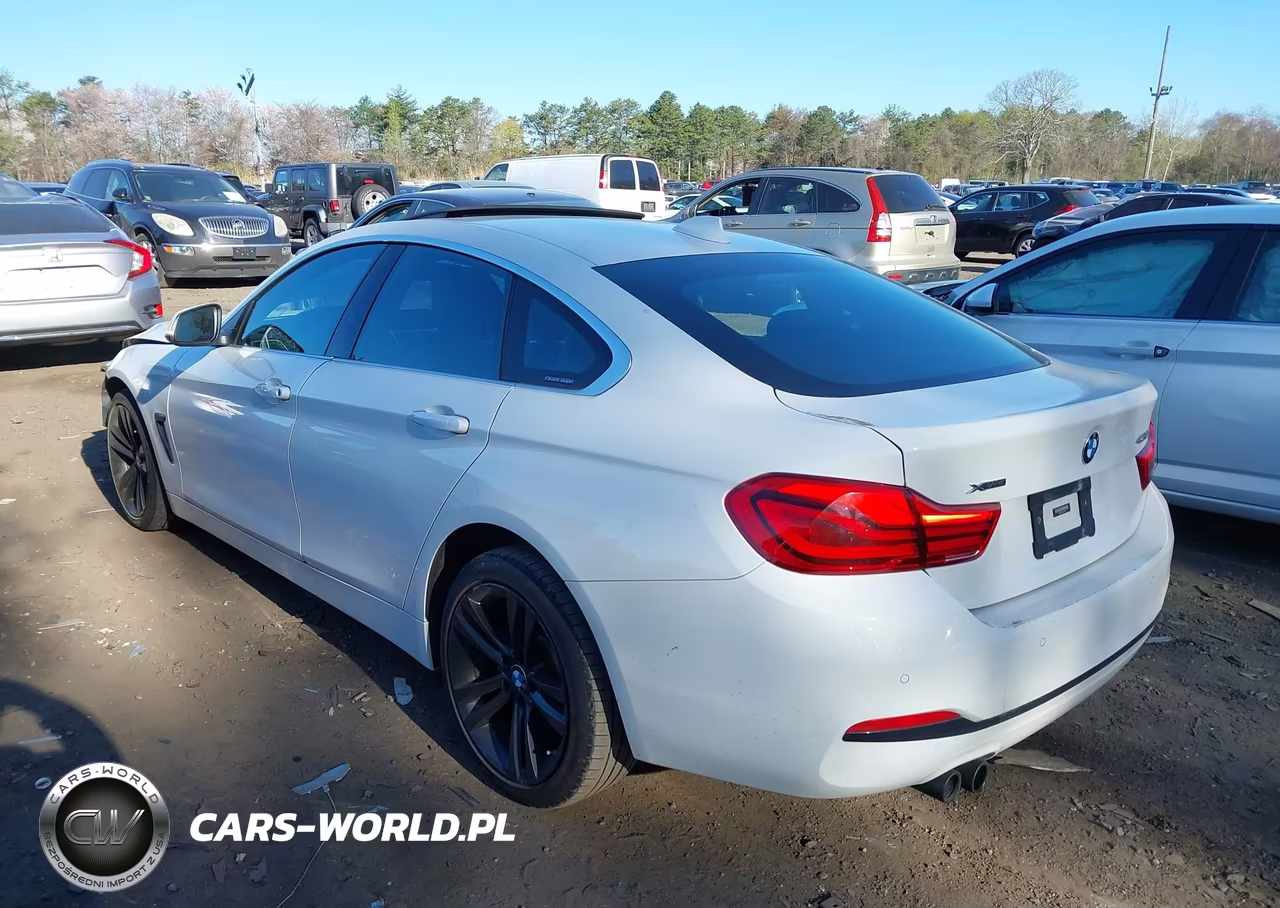 2019 BMW 430I Gran Coupe xDrive VIN:WBA4J3C57KBL11372 - 3