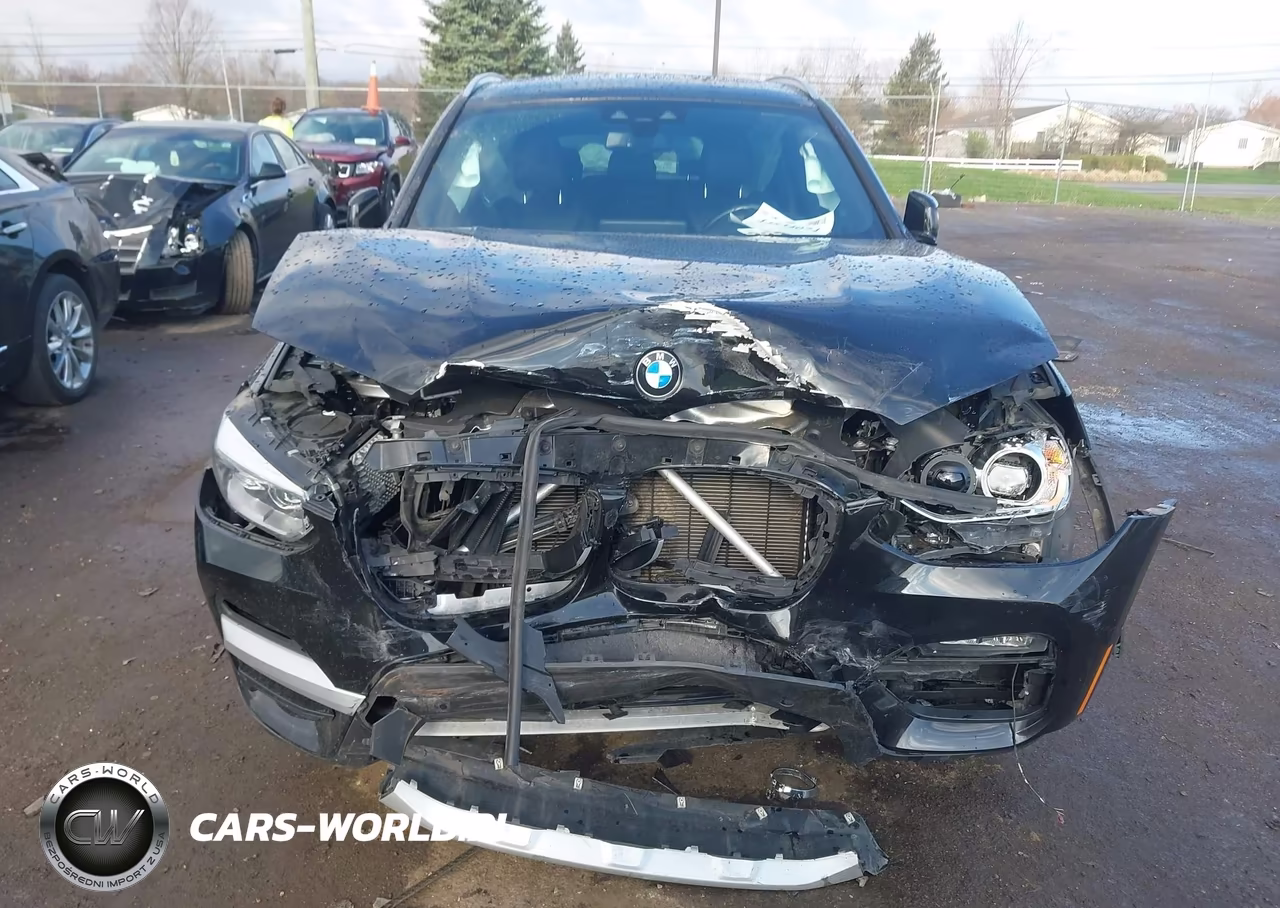 2020 BMW X3 xDrive30I VIN:5UXTY5C01LLT36711 - 12
