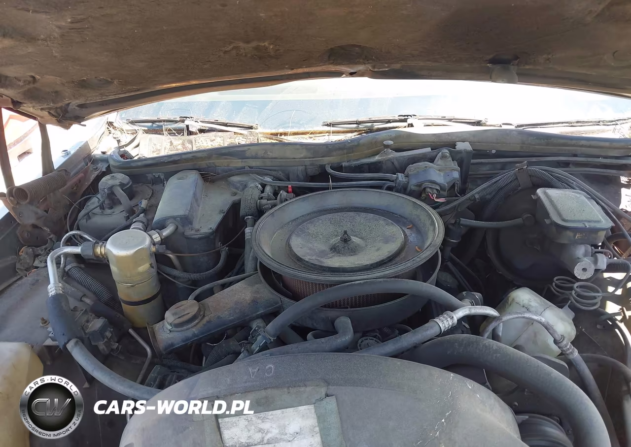 1987 Chevrolet Caprice Classic Brougham VIN:1G1BU51H3H9123502 - 10