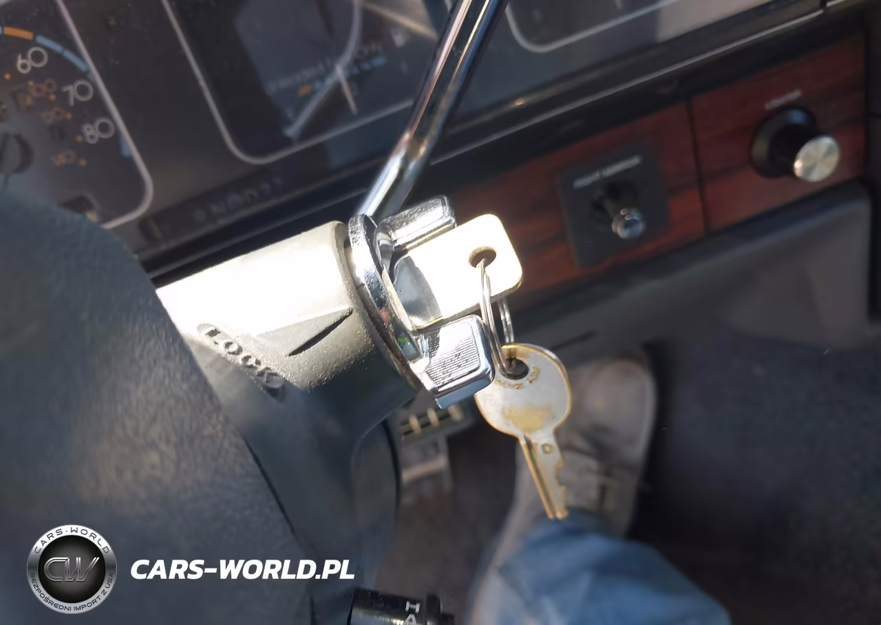 1987 Chevrolet Caprice Classic Brougham VIN:1G1BU51H3H9123502 - 11
