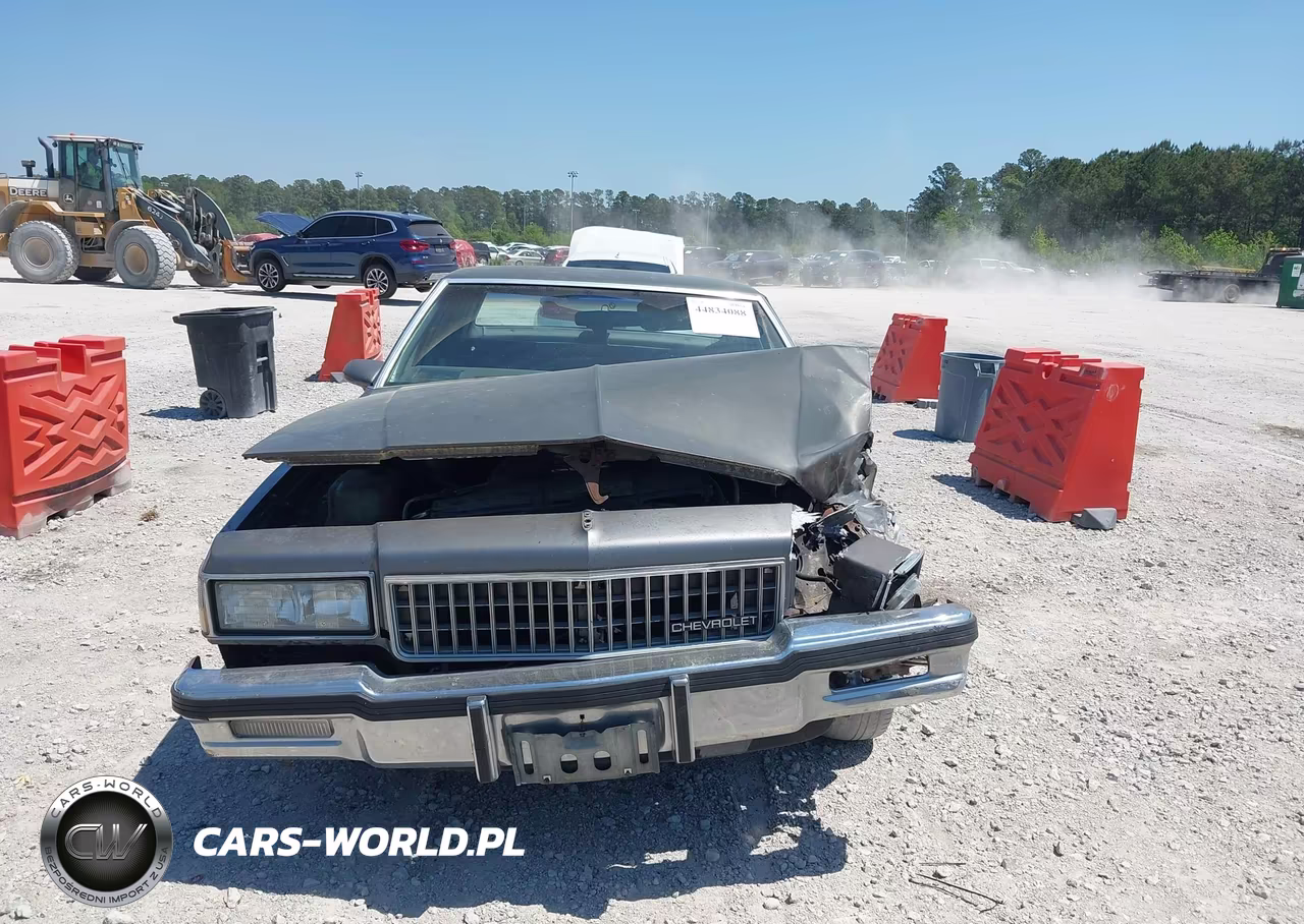 1987 Chevrolet Caprice Classic Brougham VIN:1G1BU51H3H9123502 - 12