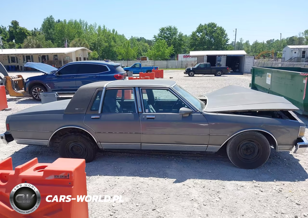 1987 Chevrolet Caprice Classic Brougham VIN:1G1BU51H3H9123502 - 13