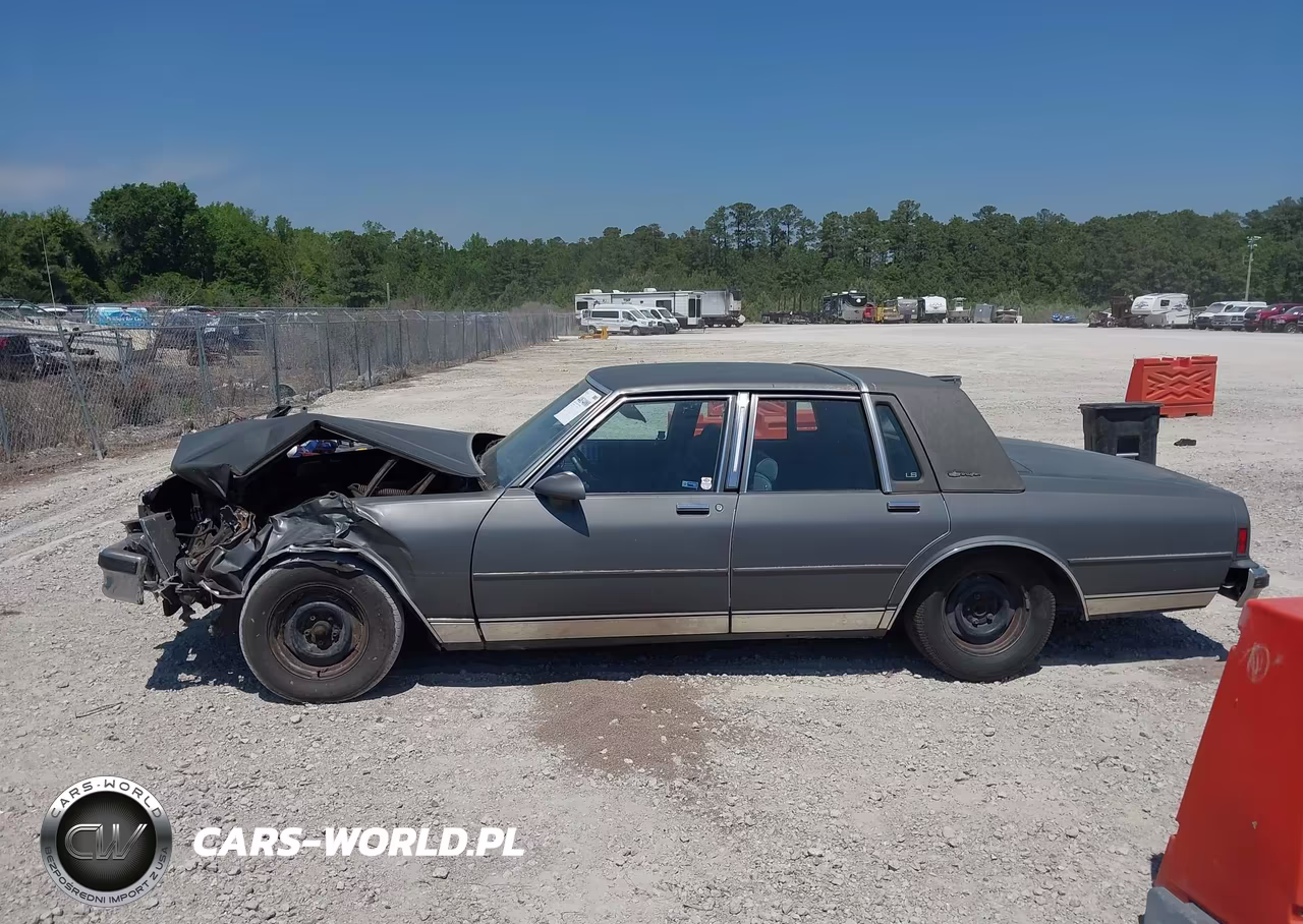 1987 Chevrolet Caprice Classic Brougham VIN:1G1BU51H3H9123502 - 14