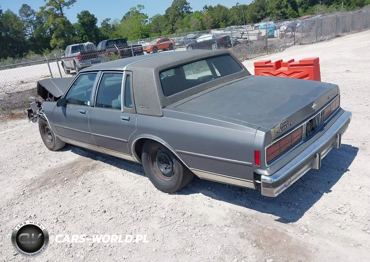 1987 Chevrolet Caprice Classic Brougham VIN:1G1BU51H3H9123502 - 3